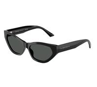 Jimmy Choo Sunglasses JC5022B 500087 Black grey Woman