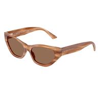 Jimmy Choo JC5022B 505573 Women’s Sunglasses Brown Size 55