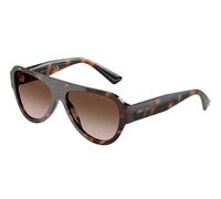 Jimmy Choo JC5027 500213 Woman Sunglasses Acetate Turtle Brown Pilot Normal Shaded