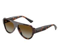 Jimmy Choo JC5027 5002T5 Woman Sunglasses Acetate Turtle Brown Pilot Polarized
