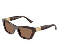 Jimmy Choo JC5030U 500273 Woman Sunglasses Acetate Turtle Brown Cat Eye Normal