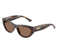 Jimmy Choo JC5034BU 500273 Woman Sunglasses Acetate Turtle Brown Cat Eye Normal