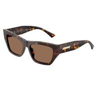 Jimmy Choo JC5035B 500273 Woman Sunglasses Acetate Turtle Brown Cat Eye Normal