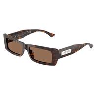 Jimmy Choo JC5040U 500273 Woman Sunglasses Acetate Turtle Brown Squared Normal