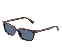 Jimmy Choo JC5050U 500280 Woman Sunglasses Acetate Turtle Blue Squared Normal