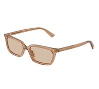 Jimmy Choo JC5050U 507693 Woman Sunglasses Acetate Brown Brown Squared Normal