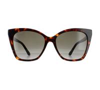 Jimmy Choo RUA/G/S Womens Havana Sunglasses