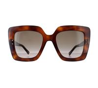 Jimmy Choo AURI/G/S 086 HAVANA 53/22/145 WOMAN Sunglasses