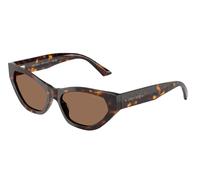 Jimmy Choo Woman JC5022B 500273 Sunglasses Acetate Turtle Brown Cat Eye Normal