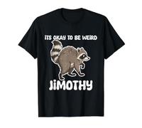 Jimothy Raccoon It's Okay to Be Weird Seattle Funny Value Graphic T-Shirt, Men, Black, L