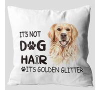 JIMOWANG Golden Retriever Throw Pillow Case Modern Cushion Cover Square Pillow Cover Decoration for Sofa Bed Chair Car 18 x 18 Inch