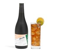 JIN JIN Enzymes Concentrate | Award Winning Non-Alcoholic Aperitif | Natural, Vegan, and Raw - Boost Immune System and Improve Gut Health | Complex and Delicious | Up to 38 drinks (750 ml)