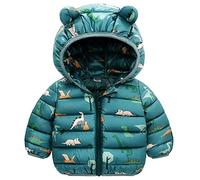 JinBei Winter Jacket for Babies, Boys Girls Coat Feather with Hood, Unicorn Dinosaur Jacket Padded Tracksuit Warm Thick Lightweight Infant Autumn Snow Boy Girl 1-5 Years, green, 2-3 años