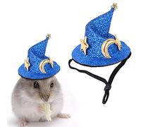 JINGAN Halloween Hamster Hat | Halloween Witch Hat For Hamster | Hamster Witch Hat | Halloween Pet Costume Outfit Accessories For Snake/Hamster/Guinea