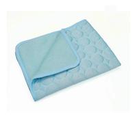 JINGBDO Cooling Mat For Pet The Ultimate Cooling Pet Mat Breathable Washable Summer Pad Dog Cat Self Cool Blanket For Kennel Crate And Bed Sleeping Ice Silk-Light Blue-Xs 40X30 Cm