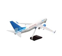 JINGDEE Display scale aircraft 47cm 1:85 For Russian Victory Airlines B737 Airplane Diecast Resin Scale Plane Model Collection Souvenir Suitable for gift giving(No light)