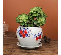 Jingdezhen Ceramics Hand-Painted Blue and White Porcelain Flower Pots Chinoiserie Orchids Special Pots Green Dills Copper Money Grass Bowl Lotus Flower Pots,D-Without HOL,D Without Holes