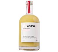 Jinger Drinks - Mint & Ginger - Non-Alcoholic Concentrate for Digestive Health - 25 servings (No added sugar)