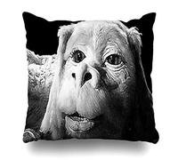 jingqi Throw Pillow Cover Square 45X45CM Falkor The Luck Dragon from The Neverending Story Design Decorative Pillow Case Home Decor Pillowcase