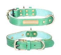 JINGYAN Collars Personalized Dog Collars Adjustable Soft Leather Dog Collar Can DIY Engrave Name ID Tags For Cat Puppy Accessories(Green,S)