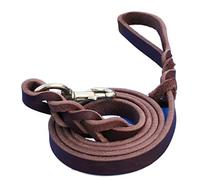 JINGYAN Dog Leashes Large Dog Leash Walking Training Lead Braided Real Leather Pet Traction Rope Competition German Shepherd Labrador Dogs