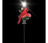 Jingyash Garden Stakes Decor | Metal Decorative Easy Install - Solar Cardinal Cemetery Decor With LED Light | for Farmhouse Spring Nature Aesthetics Indoor
