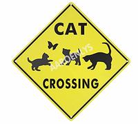 JINKAIRUI Metal Tin Sign Cat Crossing Xing Farm Organic Country Yard Sign Aluminum Street Sign for Indoor Outdoor Home Decor Wall Decoration 12x12 Inch