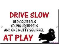 JINKAIRUI Street Sign Warning Plaque Drive Slow Old Young Nutty Squirrels at Play Metal Tin Sign Wall Art Decor Safety Warning Signs for Outdoor & Indoor Office Sign 8 X 12 Inch