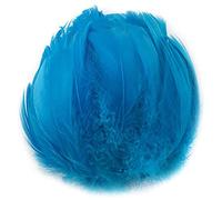 JINLL Natural Goose Feathers Clothing Accessories Pack of 100,Lake Blue