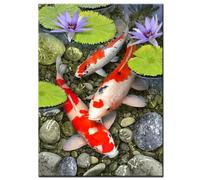 Jinmer Diamond Art Kit for Adults,5D Koi Fish Diamond Painting Kits DIY Crystal Rhinestone Embroidery Cross Stitch Full Drill Art Craft Painting Picture Home Wall Decor Gifts Square Drill,30x50cm