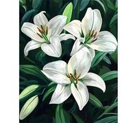 Jinmer Paint by Numbers for Adults Beautiful Lily Flowers Painting by Numbers Kits On Canvas,with Paint Brushes DIY Acrylic Oil Painting Drawing Paintworkarts for Home Wall Decor Frameless,50x65cm
