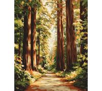 Jinmer Paint by Numbers for Adults Primitive Woods Roads Painting by Numbers Kits On Canvas,with Paint Brushes DIY Acrylic Oil Painting Drawing Paintworkarts for Home Wall Decor with Framed,40x50cm