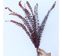 JinweiS 10 Dry Eucalyptus Stems 16-24 inches, Real Eucalyptus Shower Hanging 100% Made of Fresh Eucalyptus Leaves, Wedding, Home, Farmhouse Decoration DIY Spring Decoration, red