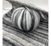 JinweiS 2 Pieces A120 Yarn for Crochet Knitting, Soft Knitting Yarn Perfect for Handmade Crochet Craft Projects，Curly Hair Coils of Wool Felt Carded Sheep Wool,Roving,Fiber