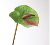 JinweiS 3pcs Anthurium Artificial Flowers, Fake Flowers, Flores Artificiales para, Wedding Decor,Green