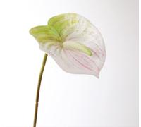 JinweiS 3pcs Anthurium Artificial Flowers, Fake Flowers, Flores Artificiales para, Wedding Decor,Red