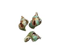 JinweiS 4Pcs Ocean Beach Seashells Craft Charms Pendant Conch Shells Charms for Bracelet Necklace Making Craft Supplies-S27
