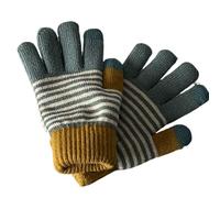 JINZIJINYU Warm Lined Knitted Gloves For Womenwinter Double Layer Plus Velvet Thickened Gloves For Women Touch Screen Knitted Wool Warm And Cold Cycling Five Finger Student Striped Blue