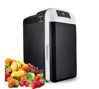 JIONET Car Fridge 8 Litre 12V 24V 220V Mini freezer Electric Heater Quiet Car Refrigerator Truck Icebox -10℃ To 65 ℃ for Camping Driving Picnic (Color : Black, Size : 8L)