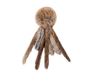 Jipersuo Cat Is Soft and Washable Suitable for Kicking Cats Playing Indoor Sports and Sticking Cats 44