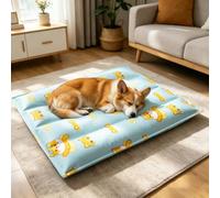 Jipersuo Dog Cool Mat Water Injection Required Cool Down Mat for Self Pad for Cats In Hot Summer Pad Washable & Easy Clean Medium Sensor Water Playmat Cats Kids Feel