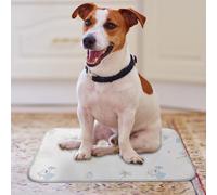 Jipersuo Dog Cooling Mat Pet Mat for Cats & Dogs Ice Silk Summer Pad with Cute Patterns Breathable Mesh Back Indoor Hot Weather Use