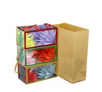 Jipersuo Paper Bag Toy Change Flower Bag Strange Education 13