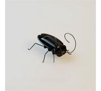 Jipersuo Solar Powered Micro Cockroach Toy Educational Model This Quirky Solar Cockroach Toy Is A for Children and Adults Who Unique Gadgets and Scientific Toys. 32