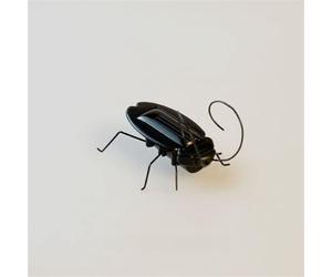 Jipersuo Solar Powered Micro Cockroach Toy Educational Model This Quirky Solar Cockroach Toy Is A for Children and Adults Who Unique Gadgets and Scientific Toys. 32