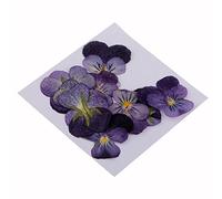 JISADER 10 Pcs Dried Pressed Flowers for DIY Scrapbooking Crafts, Violet Flowers, as described