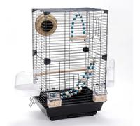 JISADER Bird Cage for Small Birds, 2-Tier Transparent Cockatiel Home with Accessories, Rectangular Ornamental Indoor Setup, Acrylic and Steel Framework, Black, Black