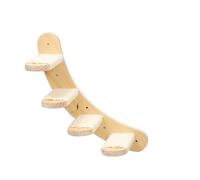 JISADER Cat Climbing Wall with Wooden Shelf and Perch, Modern Frame Including House and Pad, Indoor Furniture for Large Cats and Kittens, Wall-mounted curved climbing ladder with flat steps
