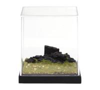JISADER Display Case 1 64 Scale Scene Dustproof Display Case Miniature House Collectibles Display Storage Box Dollhouse DIY Made with Pp Mate