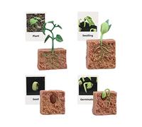 JISADER Growth Playset Animal Figurine Simulation Life Cycle Model Teaching Aid Early Education Material Suitable for Gift Giving Science Projects Pre, Plant Growth
